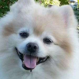 Meet your Posher, Matt